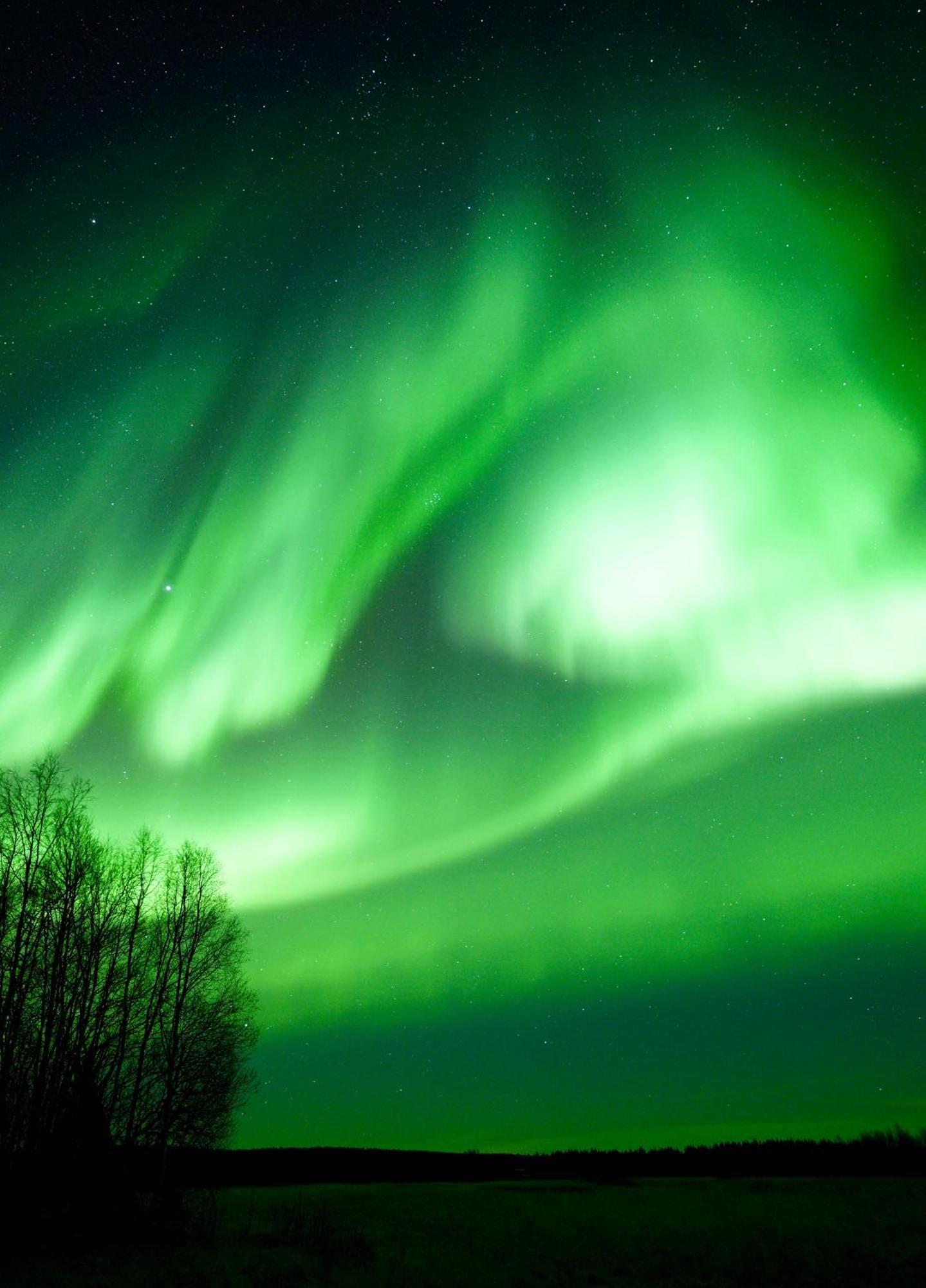 Ailu - Arctic Hotel Apartments Lannavaara エクステリア 写真